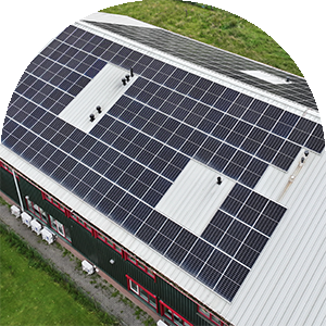 Environmental Protection and Sustainability
